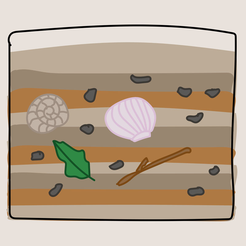 Jak vznikají horniny - usazené (sedimentární)
