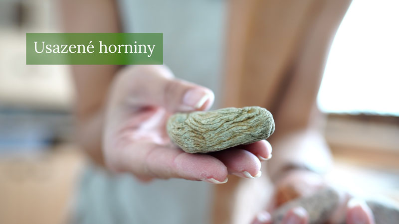 Usazené horniny